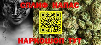 сатива Кунгур